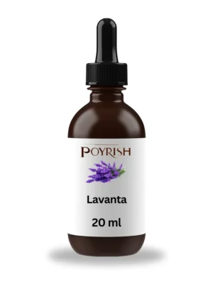 Lavanta Mum Esansı 20 ml