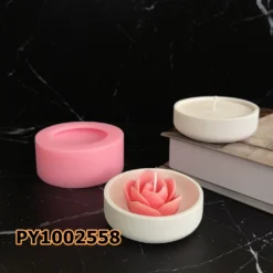PY1002558